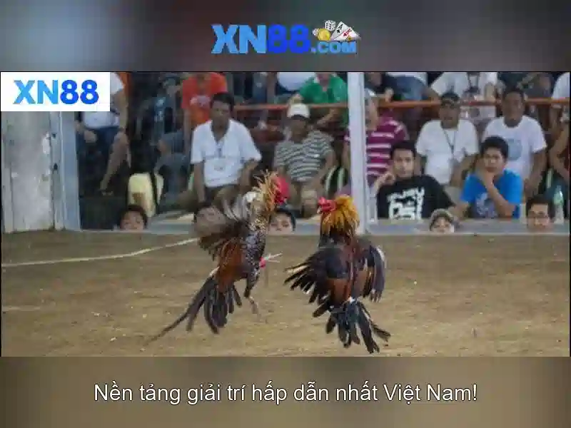 xn88: tổng quan về nền tảng cược trực tuyến 1 Đăng Nhập