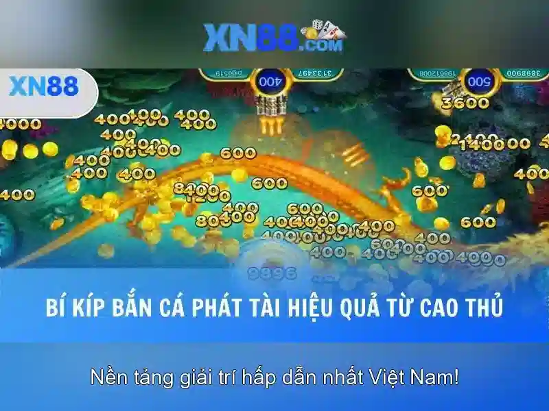 Những người dùng và trải nghiệm