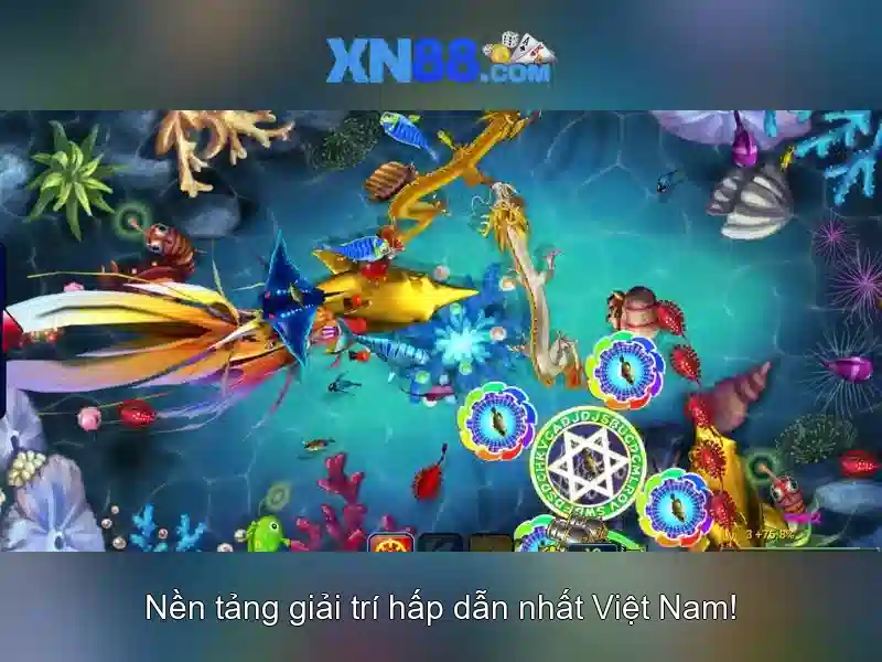 Lịch sử và phát triển