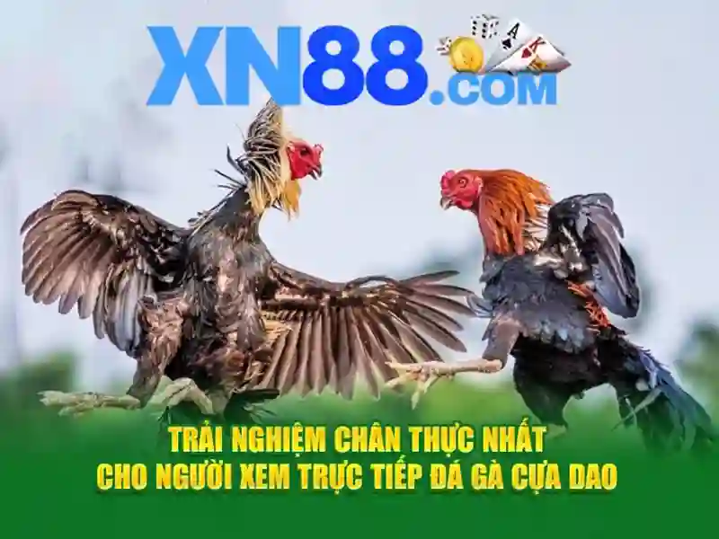 <!--IMG_PLACEHOLDER alt>Lợi thế và sức cạnh tranh của https t ly xn88 app--> <!--IMG_PLACEHOLDER alt>Lợi thế và sức cạnh tranh của https t ly xn88 app-->